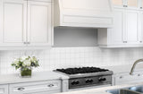Satori Hudson Brilliant White Glossy Bullnose 4-in x 4-in Glossy Ceramic Wall Tile (10.12-sq ft/Carton)