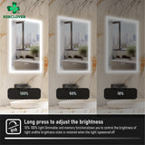 Forclover 24-in x 32-in Lighted LED Fog Free Surface/Recessed Mount Silver Mirrored Soft Close Medicine Cabinet with Outlet