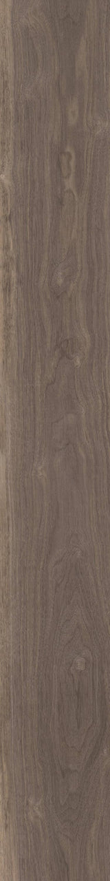 Shaw Downtown Beale Street Brown 8-mil x 6-in W x 48-in L Waterproof Glue Down Luxury Vinyl Plank Flooring (53.63-sq ft/ Carton)