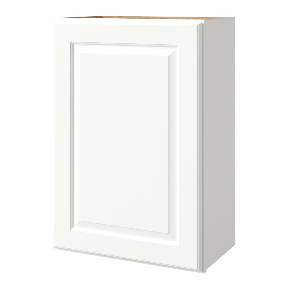 allen + roth Tilson 21-in W x 36.125-in H x 12-in D Linen Wall Fully Assembled Cabinet (Raised Panel Square Door Style)