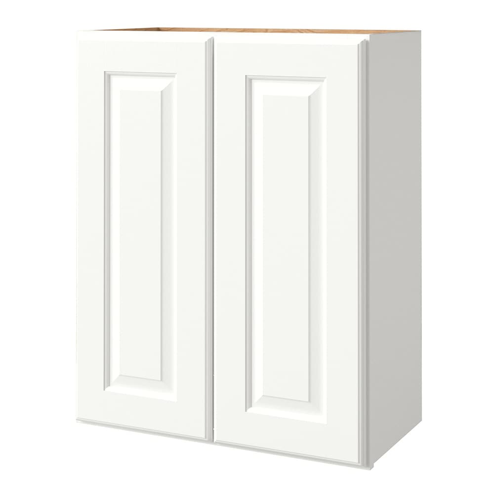 allen + roth Tilson 24-in W x 24.5-in H x 12-in D Linen Wall Fully Assembled Cabinet (Raised Panel Square Door Style)