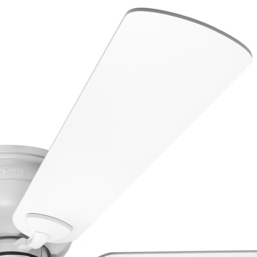 671961406875_11065337_811236737.jpg