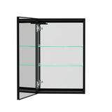 WELLFOR BG 30-in x 30-in Lighted LED Fog Free Surface Mount Black Mirrored Soft Close Medicine Cabinet