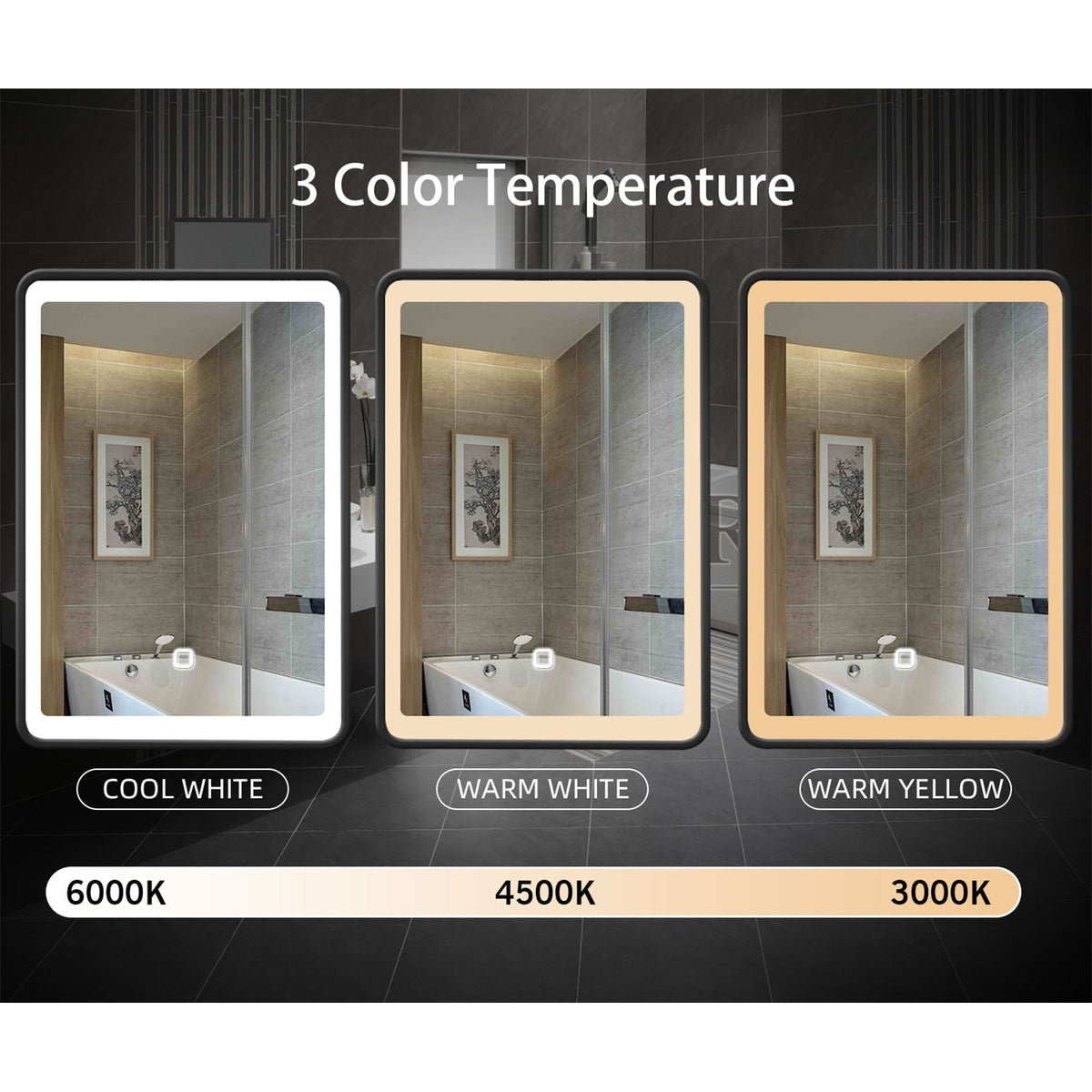 WELLFOR AO 20-in x 28-in Lighted LED Fog Free Surface Mount Black Mirrored Medicine Cabinet