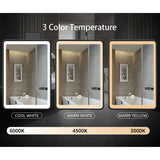 WELLFOR AO 20-in x 28-in Lighted LED Fog Free Surface Mount Black Mirrored Medicine Cabinet