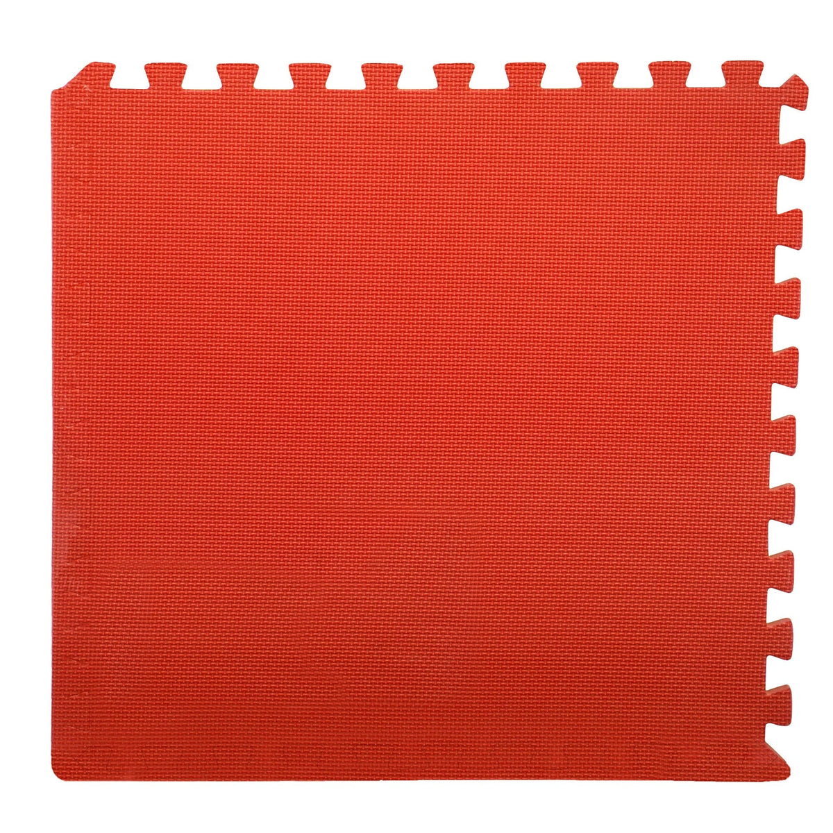 Stalwart 24-in W x 24-in L x 0.5-in T Interlocking Foam Gym Floor Tile (32-sq ft) (8-Pack)