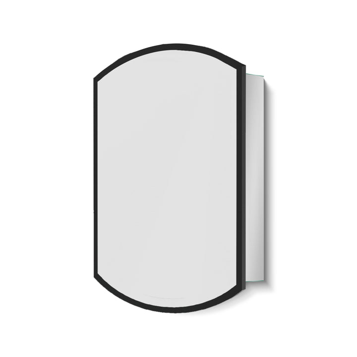 AAZJ AO 22-in x 31-in Surface/Recessed Mount Black Mirrored Soft Close Medicine Cabinet