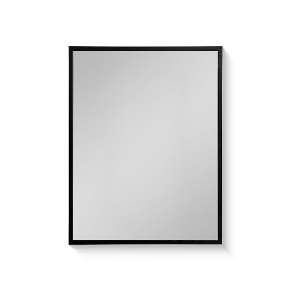 AAZJ AS 20-in x 26-in Surface/Recessed Mount Black Mirrored Medicine Cabinet