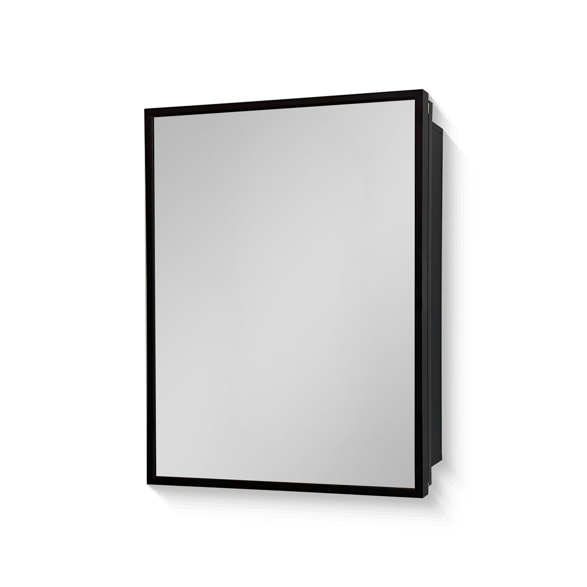 AAZJ AS 20-in x 26-in Surface/Recessed Mount Black Mirrored Medicine Cabinet