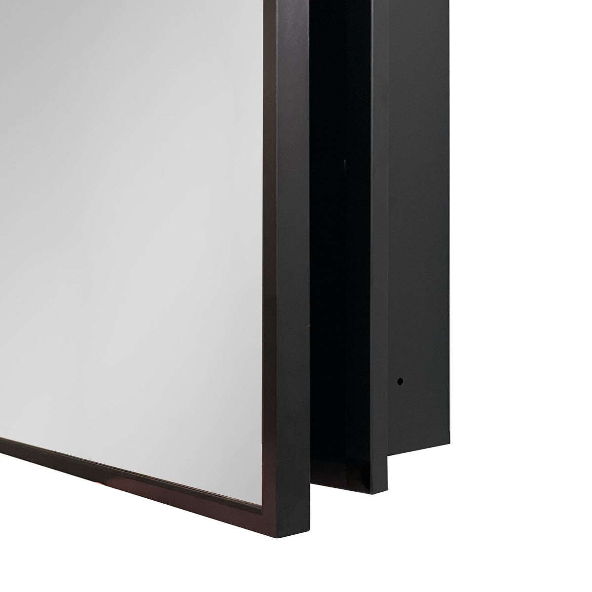 AAZJ AS 20-in x 26-in Surface/Recessed Mount Black Mirrored Medicine Cabinet