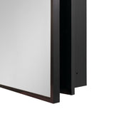 AAZJ AS 20-in x 26-in Surface/Recessed Mount Black Mirrored Medicine Cabinet