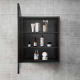 AAZJ AS 20-in x 26-in Surface/Recessed Mount Black Mirrored Medicine Cabinet