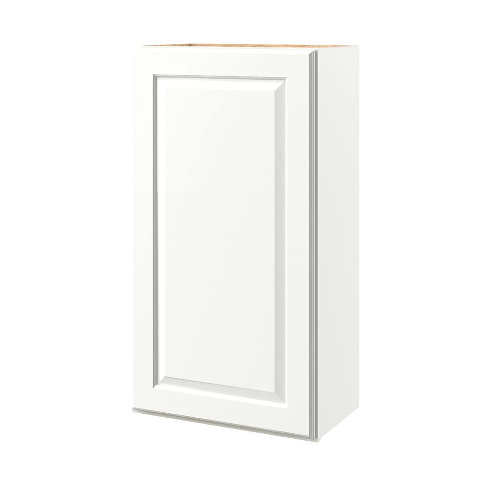 allen + roth Tilson 24-in W x 36.125-in H x 12-in D Linen Wall Fully Assembled Cabinet (Raised Panel Square Door Style)