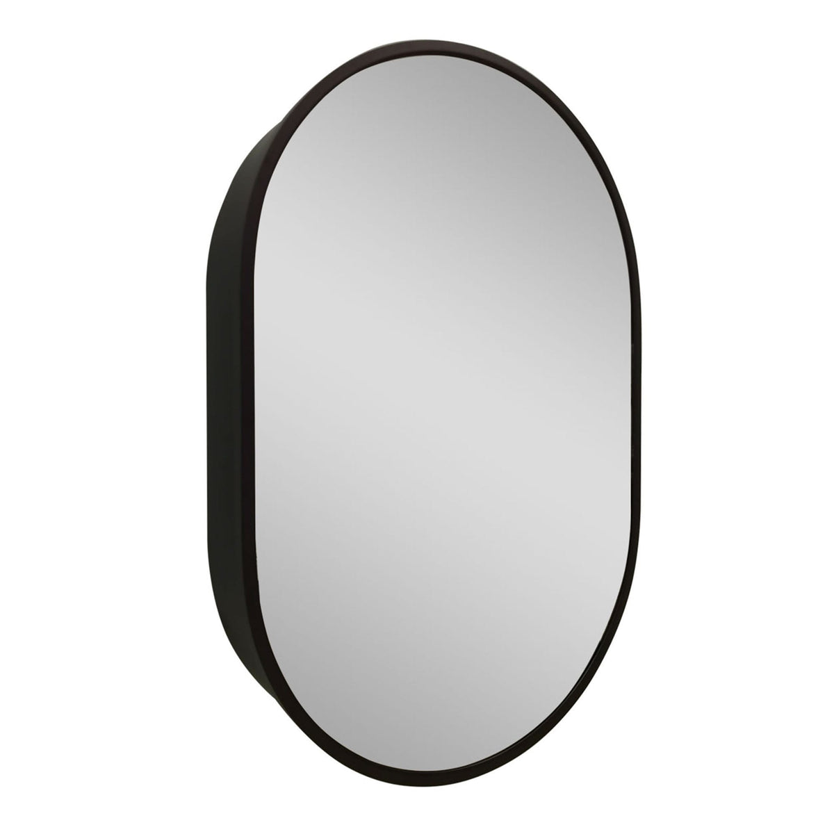 WELLFOR 24-in x 36-in Surface Mount Black Mirrored Oval Medicine Cabinet