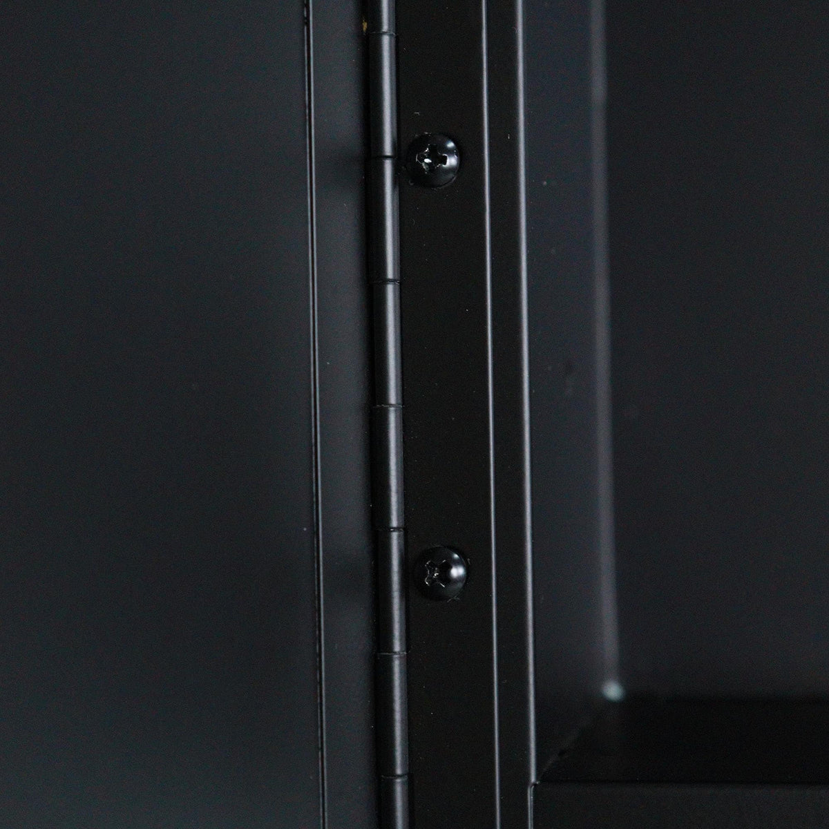 WELLFOR 24-in x 36-in Surface Mount Black Mirrored Oval Medicine Cabinet