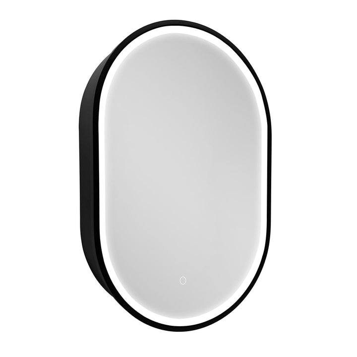 WELLFOR 21-in x 31-in Lighted LED Fog Free Surface Mount Black Mirrored Oval Medicine Cabinet