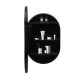 WELLFOR 21-in x 31-in Lighted LED Fog Free Surface Mount Black Mirrored Oval Medicine Cabinet
