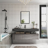 WELLFOR 16-in x 24-in Surface/Recessed Mount Black Mirrored Medicine Cabinet