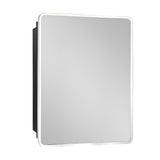 WELLFOR 24-in x 30-in Surface/Recessed Mount Silver Mirrored Medicine Cabinet