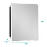 WELLFOR 24-in x 30-in Surface/Recessed Mount Silver Mirrored Medicine Cabinet