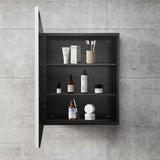WELLFOR 24-in x 30-in Surface/Recessed Mount Silver Mirrored Medicine Cabinet