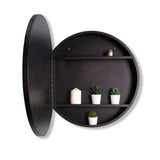 WELLFOR 24-in x 24-in Surface Mount Silver Mirrored Round Medicine Cabinet