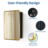 WELLFOR 20-in x 28-in Surface/Recessed Mount Gold Mirrored Medicine Cabinet