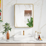 WELLFOR 20-in x 28-in Surface/Recessed Mount Gold Mirrored Medicine Cabinet