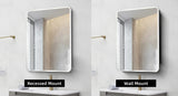 AAZJ AS 24-in x 30-in Surface/Recessed Mount Silver Mirrored Medicine Cabinet