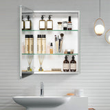 WELLFOR AO 20-in x 26-in Surface/Recessed Mount Silver Mirrored Soft Close Medicine Cabinet