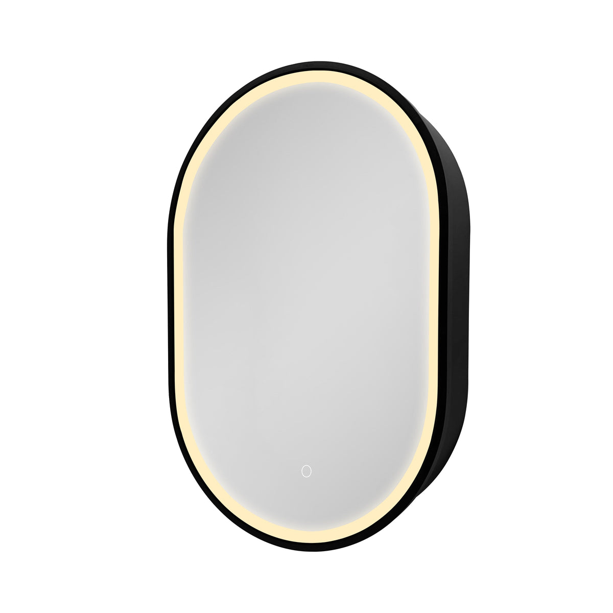 WELLFOR AO 21-in x 31-in Lighted LED Fog Free Surface Mount Black Mirrored Oval Soft Close Medicine Cabinet
