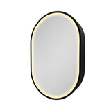 WELLFOR AO 21-in x 31-in Lighted LED Fog Free Surface Mount Black Mirrored Oval Soft Close Medicine Cabinet