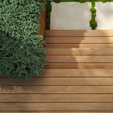 TimberTech (Sample) Prime+ 12-in Coconut Husk