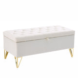 GZMR Modern Beige Storage Bench with Storage 38-in x 17-in