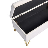 GZMR Modern Beige Storage Bench with Storage 38-in x 17-in