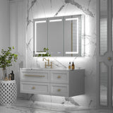 ExBrite Vilara 48-in x 32-in Lighted LED Fog Free Surface/Recessed Mount Silver Mirrored Soft Close Medicine Cabinet with Outlet