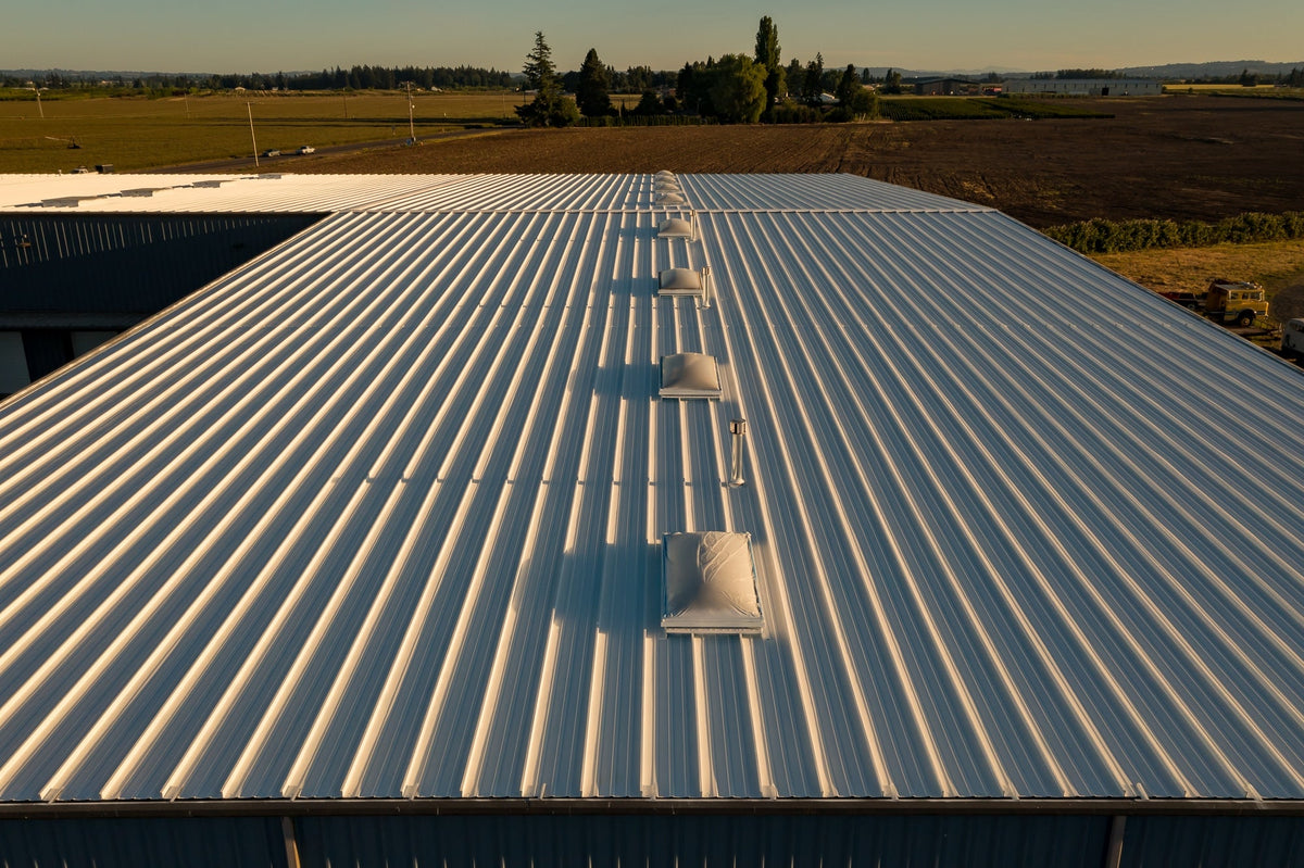 AMES Maximum Stretch 5-Gallon White Elastomeric Reflective Roof Coating & Sealant, 1-Year Limited Warranty