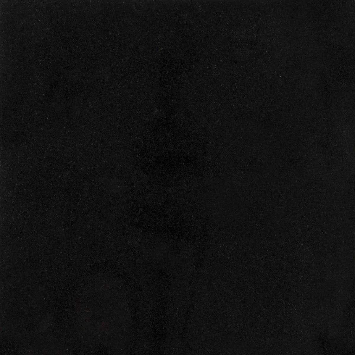 Satori Absolute Black 12-in x 12-in Polished Natural Stone Granite Floor and Wall Tile (1-sq. ft/ Piece)
