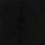 Satori Absolute Black 12-in x 12-in Polished Natural Stone Granite Floor and Wall Tile (1-sq. ft/ Piece)