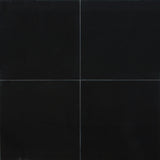 Satori Absolute Black 12-in x 12-in Polished Natural Stone Granite Floor and Wall Tile (1-sq. ft/ Piece)