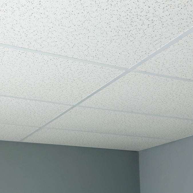 Genesis 4-ft x 2-ft Printed Pro White PVC Drop Ceiling Tile (1-Pack, 8-sq ft / Case)