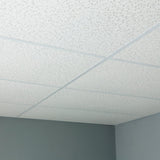 Genesis 4-ft x 2-ft Printed Pro White PVC Drop Ceiling Tile (1-Pack, 8-sq ft / Case)