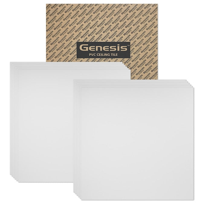 Genesis 2-ft x 2-ft Border Fill White PVC Drop Ceiling Tile (1-Pack, 4-sq ft / Case)
