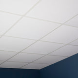 Genesis 2-ft x 2-ft Stucco Pro White PVC Drop Ceiling Tile (1-Pack, 4-sq ft / Case)