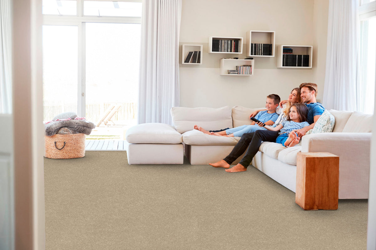 STAINMASTER Essentials Blue Diamonds I 12-ft Raw Lumber Textured Indoor Carpet