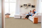 STAINMASTER Essentials Blue Diamonds I 12-ft Raw Lumber Textured Indoor Carpet