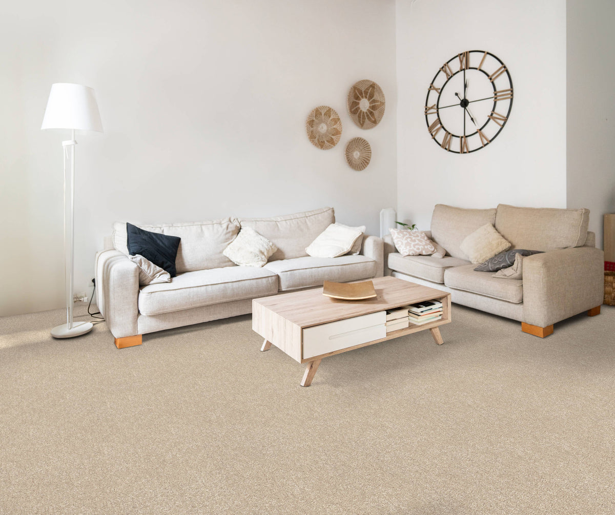 STAINMASTER Essentials Blue Diamonds III 12-ft Dreamy Textured Carpet Sample (Interior)
