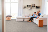 STAINMASTER Essentials Blue Diamonds III 12-ft Dusty Trail Textured Carpet Sample (Interior)