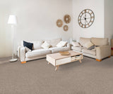 STAINMASTER Essentials Blue Diamonds III 15-ft Tree Bark Textured Carpet (Indoor)
