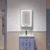 waterpar 24-in x 36-in Lighted LED Fog Free Surface/Recessed Mount Black Mirrored Soft Close Medicine Cabinet with Outlet